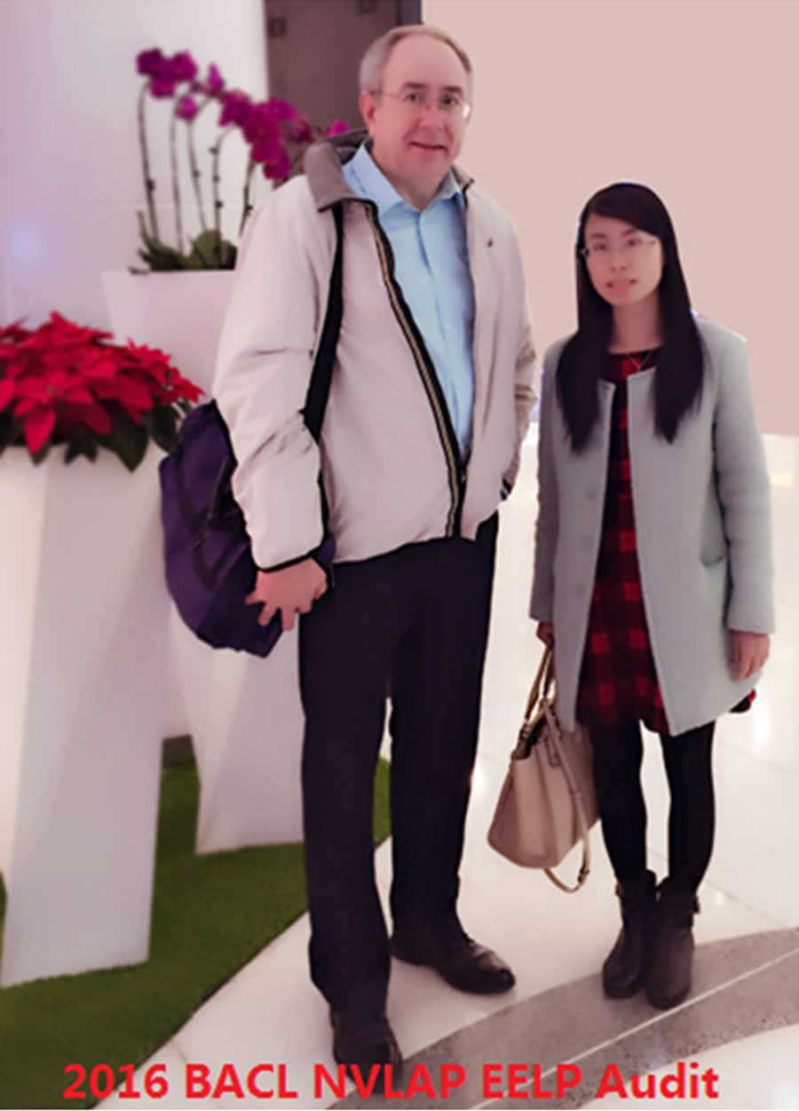 审核900.jpg