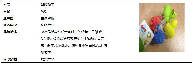 5.png 5.png